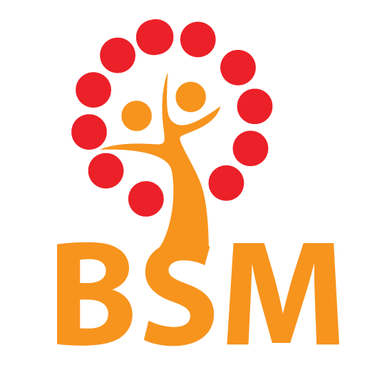 BSM-Logo-favicon.png